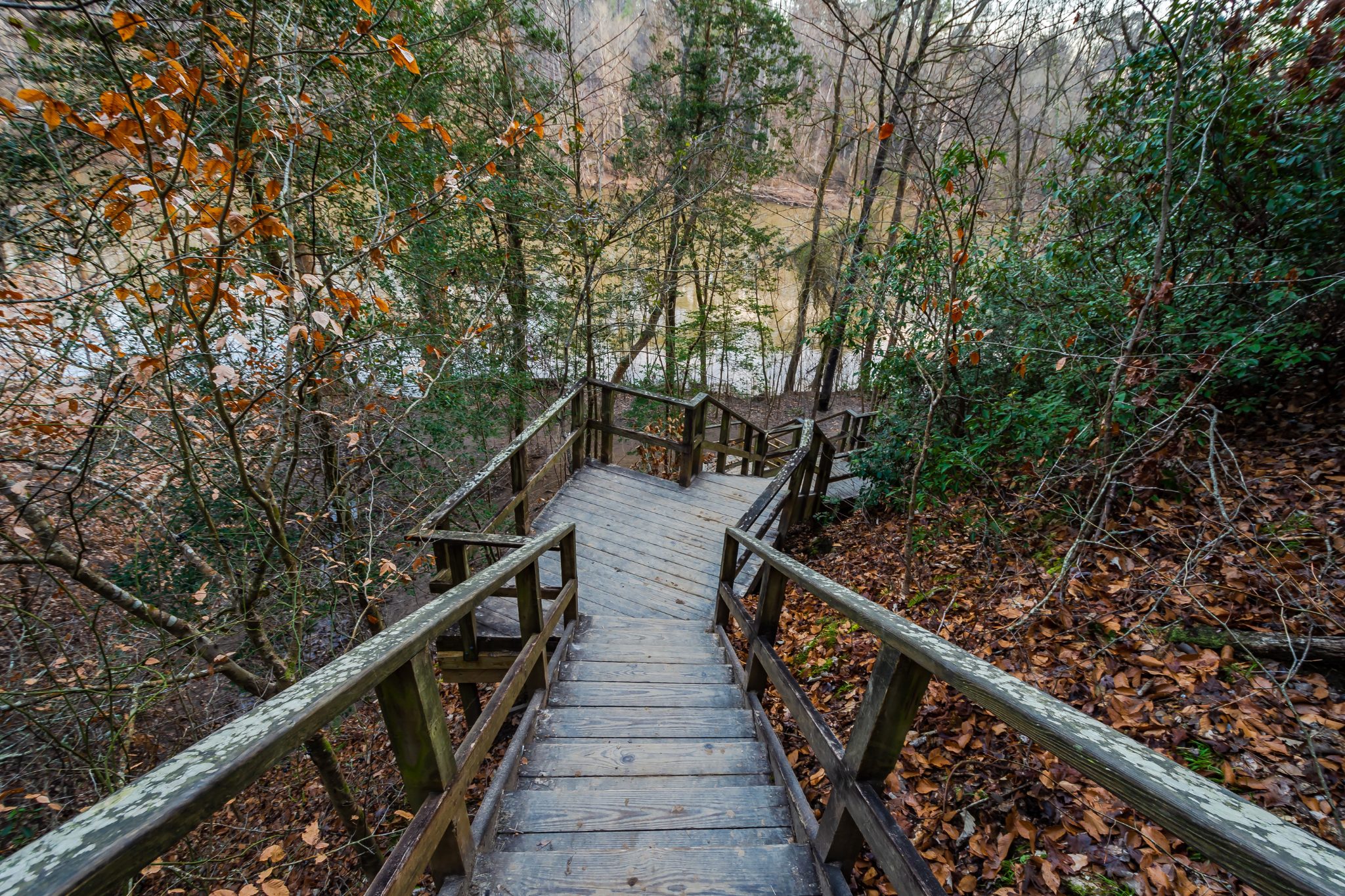 Lillington, NC